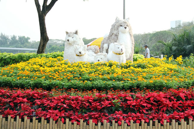 Hồn quê xuất hiện tại khu nhà giàu ở Sài Gòn ngày giáp Tết